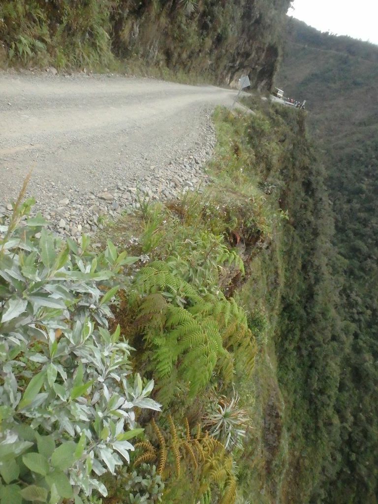 Lj9-gevph4JZXkxZLOWde52aFd4z7CybyI1VSf3qpLk